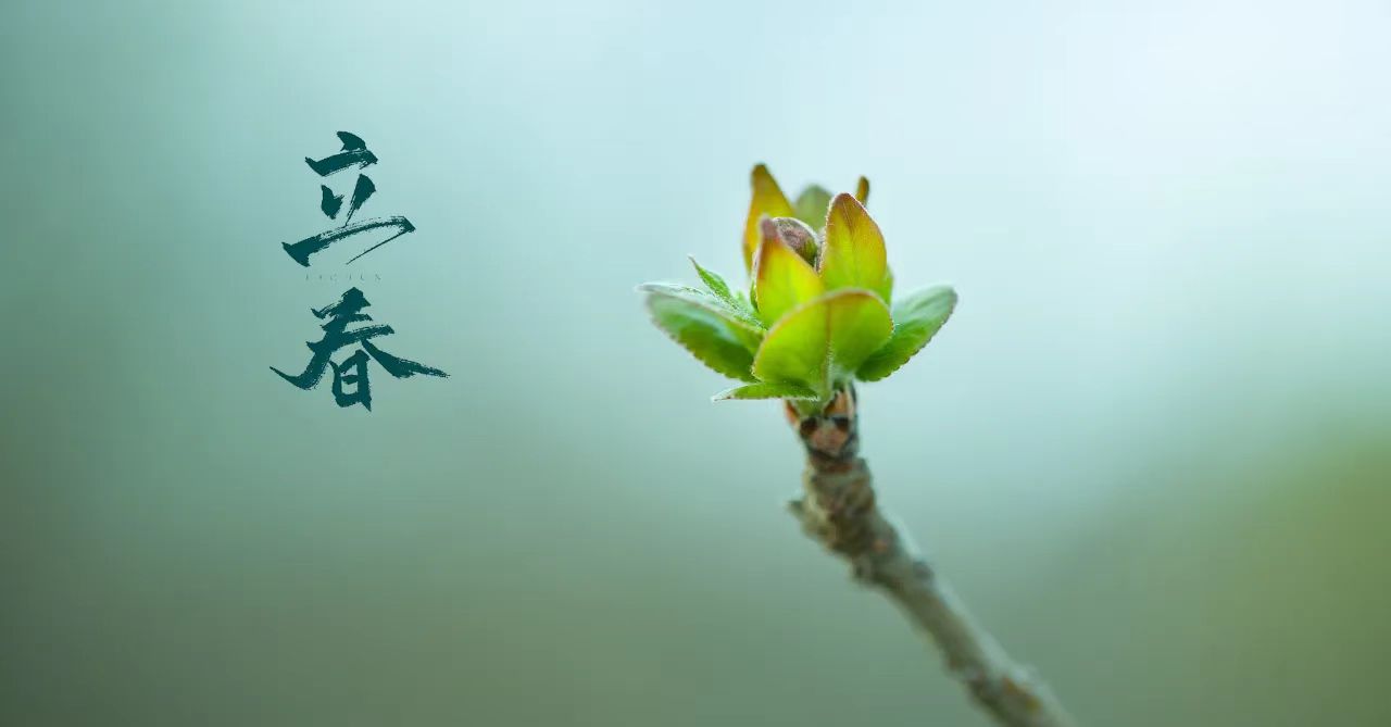 今日立春 | 邁過冰川雪海  迎來暖陽花開